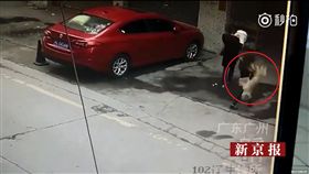 中國大陸,馬路,虐狗,砸中女子（圖／微博）