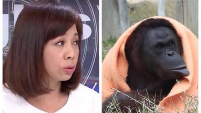 不只余莓莓　周子瑜的他長得也像猩猩
