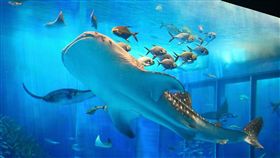 ▲綠島蘭嶼自由行景點。（圖／Tripbaa趣吧！亞洲自由行專家）