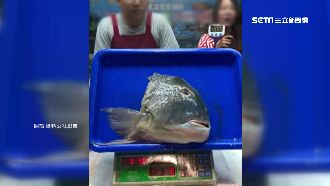 看直播買魚頭縮水　業者坦承忙中有錯