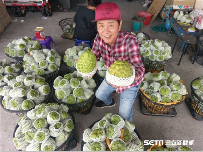摸不得捏不得！「黑釋迦」僅台東限定