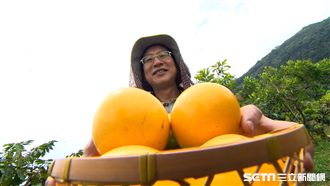 水果界「還珠格格」　他花6年才種出