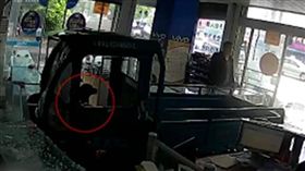不是動畫！狗開電動三輪撞手機店　圖／翻攝自澎湃新聞