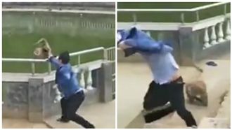 惡男手賤推猴子下水　慘遭圍攻追咬