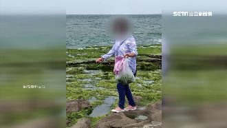3女違踩老梅石槽　塑膠袋裝海菜挨批