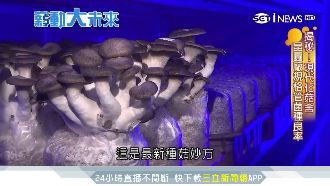 菇寮變身晶圓廠規格　農業科技革命力