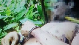 嘉義,阿里山,山區,山老鼠,逃逸外勞,森警,殺人,暴斃（圖／翻攝畫面）