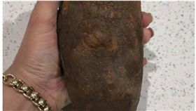 遛狗意外挖到「馬鈴薯」　英女回家一查嚇傻…挖到手榴彈　圖／翻攝自dailyrecord