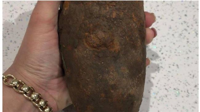 遛狗挖到「馬鈴薯」　她回家一查嚇傻