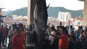 宜蘭第一鮪重達211公斤　拍賣價189萬創最高紀錄
黑鮪魚
圖／翻攝畫面