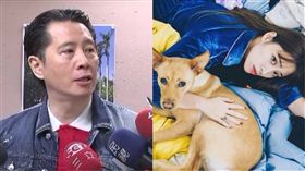 歐陽龍,歐陽妮妮（圖／翻攝自IG）