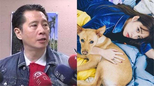 歐陽家外傭幫遛狗　傅娟急叫屈撇違法