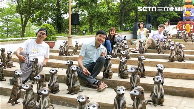 狐獴攻陷六福村　呆萌感拍到停不下來