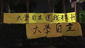 台大校園黃絲帶　圖／翻攝自「還我校長  黃絲帶的關懷」臉書粉絲團