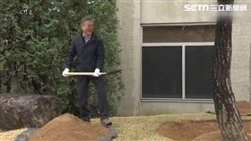 兩韓會談亮點! 文金共同植下