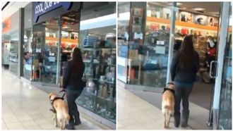 導盲犬帶主人逛街　自動導航進寵物店