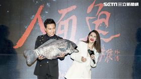 徐若瑄,鄭人碩,人面魚,紅衣小女孩／威視提供