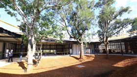 營造森林裡的花博　體驗與樹對話