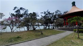 高雄澄清湖（圖／翻攝自Google地圖）