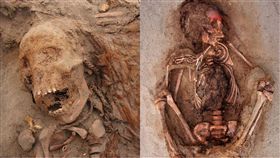 祕魯,獻祭,儀式,古文明,奇穆王國,心臟,John Verano,Jeffrey Quilter,Trujillo,遺體,考古　圖／翻攝自國家地理官網　https://goo.gl/KEc5cN