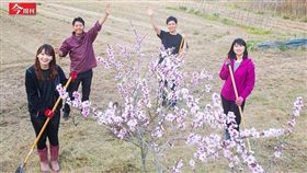 名家／今周刊／不只有東京能打拼！日本高齡小鎮讓森林、古宅變身「小矽谷」