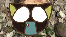 英國,Sean Hall,生物,Otterspool,梅西河,River Mersey,海豚,河怪,海豹　圖／翻攝自ECHO https://goo.gl/iEc8mj