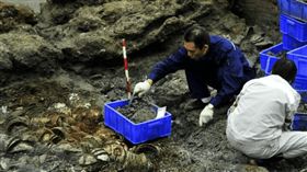 南海一號
http://k.sina.com.cn/article_6450577106_1807bfed2001005zvt.html