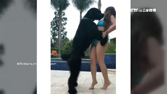 「讓牠聞妳臀」狗主人反告女模性騷狗