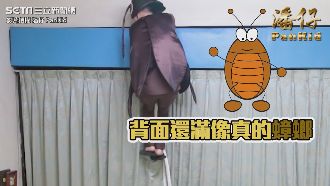 大蟑螂從天而降！淡定媽神反應反撩兒