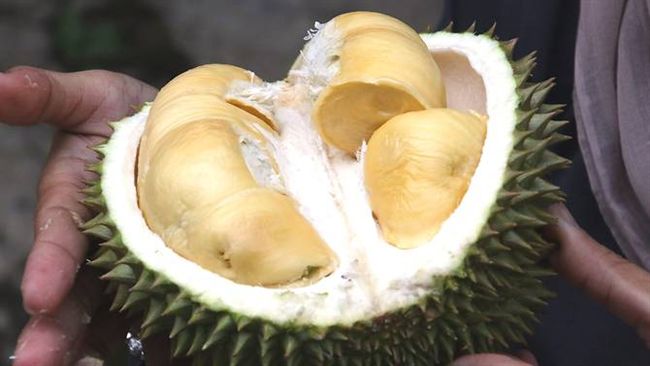 以為榴槤味是毒氣…校方撤離上百師生