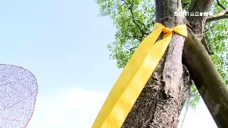 「拔管」續燒！清大校長繫黃絲帶聲援