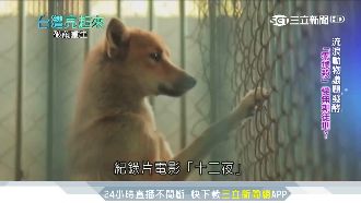 她用溫柔改變世界　終止動物流浪悲歌