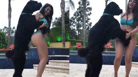 黎巴嫩辣模網紅被指控人獸交，要求賠償4千萬。（圖／翻攝The Sun）