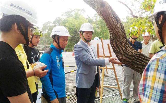 首次！國際樹醫健診「森林裡的花博」