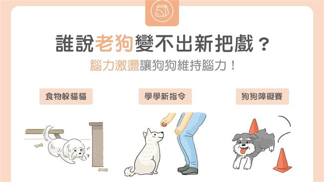 腦力激盪遊戲　讓老狗也能維持腦力