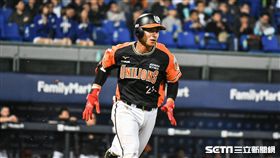 統一獅陳傑憲。 圖／記者林敬旻攝