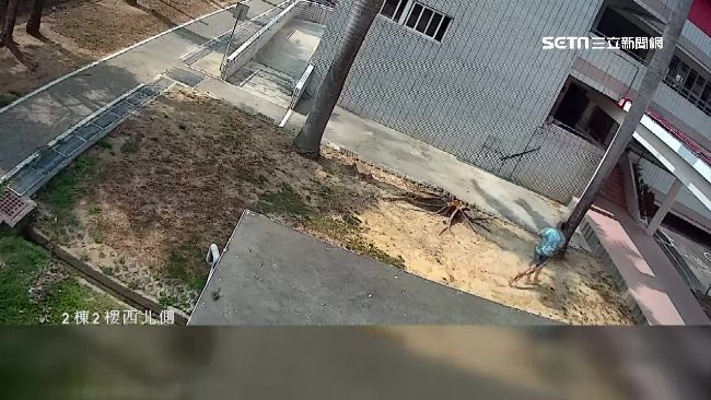 隱匿國中生墜樓？校方：學生嚇傻胡言