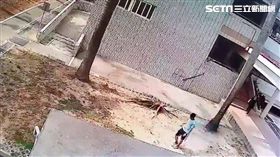 高雄,嘉興,岡山,墜樓,跌倒,不治,醫院,檢警,校方,說謊