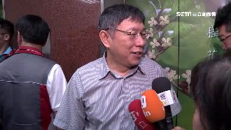 過半支持自提人選　曝民進黨密會柯P