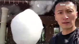 謝霆鋒酸北京柳絮　出門就能得棉花糖