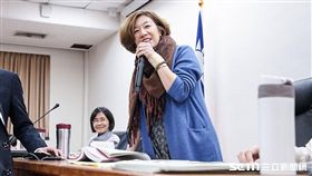 立法院衛環委員會晚間延長開會聯席審查勞基法修正案，民進黨立委林靜儀 圖／記者林敬旻攝