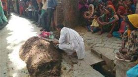 印度,毒蛇,活埋,牛糞,治療,弄蛇人,警方,報案,全身覆蓋,屎。（圖／翻攝dailyhunt.in）