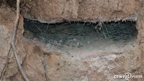 發了！陝西工地挖出2百公斤東漢古幣
中國,陝西,鳳縣,東漢,貨泉,古墓,盜墓
http://slide.news.sina.com.cn/slide_1_86058_264237.html#p=1