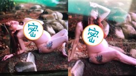 T妹,全裸/翻攝自臉書