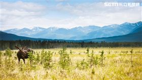 加拿大自然美景。（圖／加航提供）