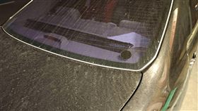 洗車,下雨,雨天,髒,PTT,批踢踢　圖／翻攝自PTT