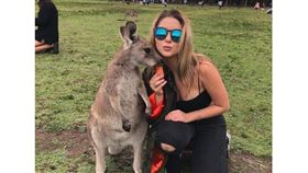 澳洲,袋鼠,動物,餵食,奈良鹿,BBC 圖／翻攝自BBC