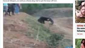 印度,男子,巴塔拉,懶熊,自拍,咬死,死亡（圖／翻攝自英國《太陽報》）