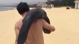 中國大陸,大陸,男子,海豚,違法,保育類動物（圖／翻攝自秒拍）