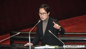 親民黨立委高金素梅質詢。 圖／記者林敬旻攝